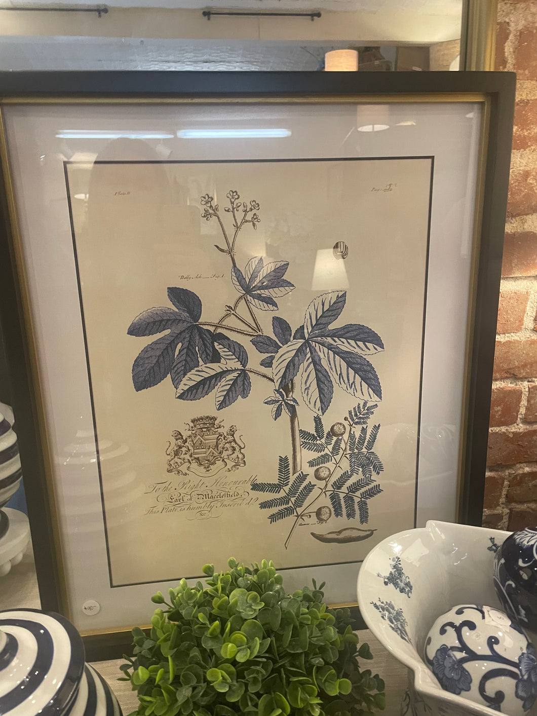 Framed Print - Peiroo