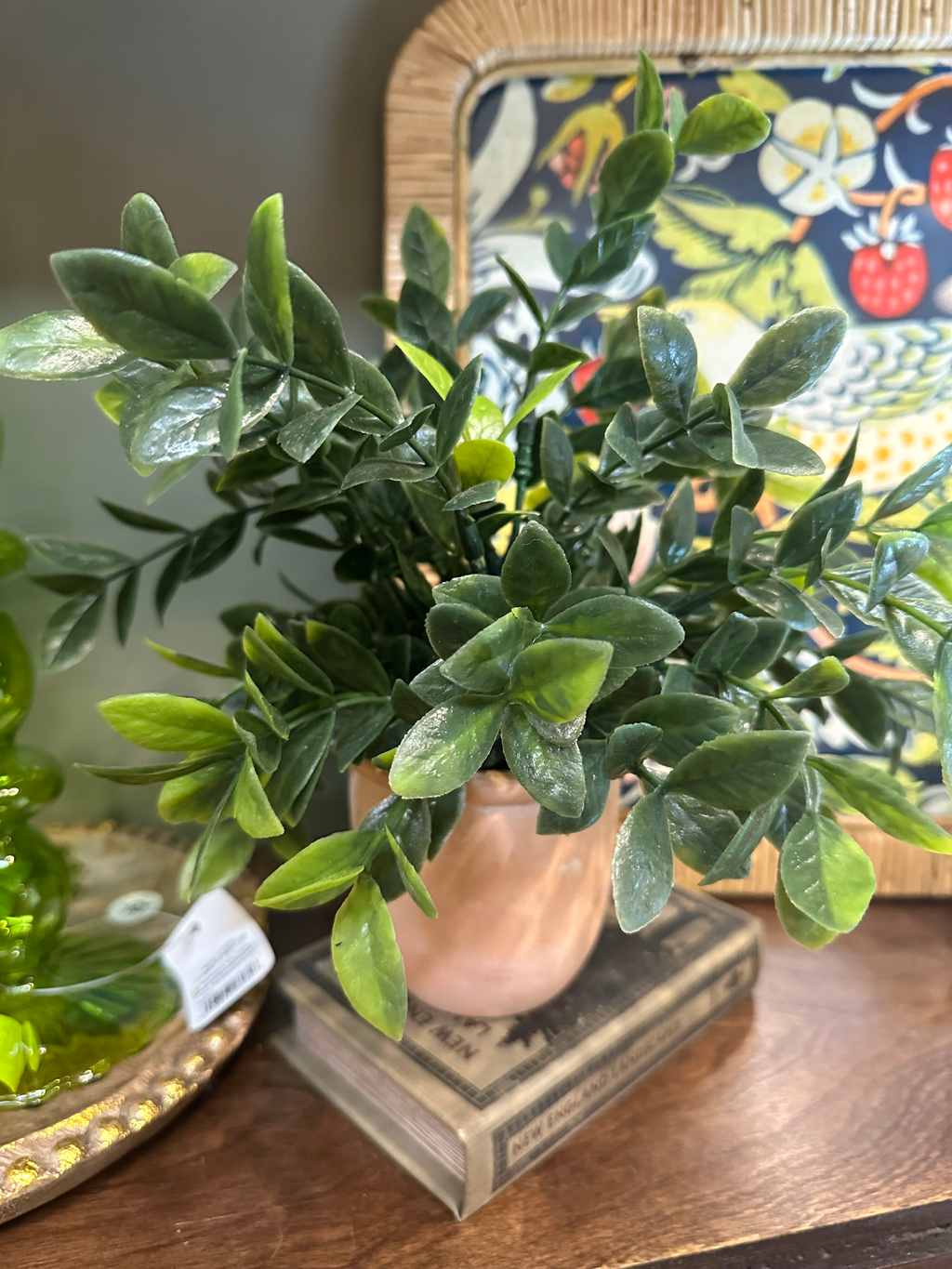 Plant - Barnes